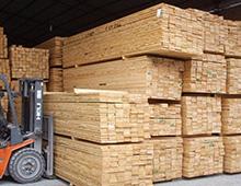 Wood